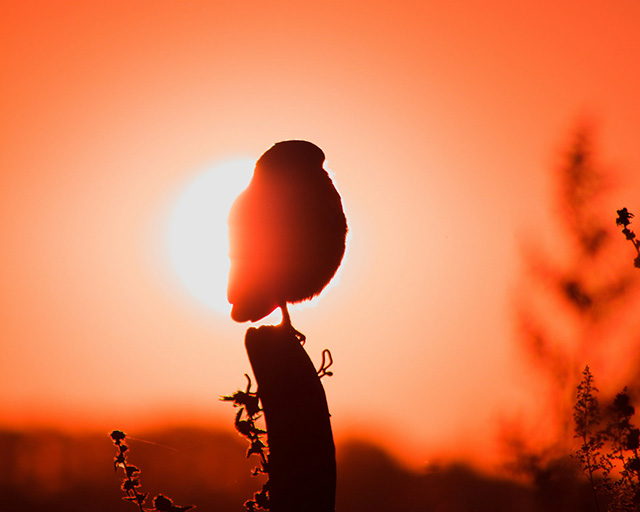 Jezelf zichtbaar maken en succesvol zijn